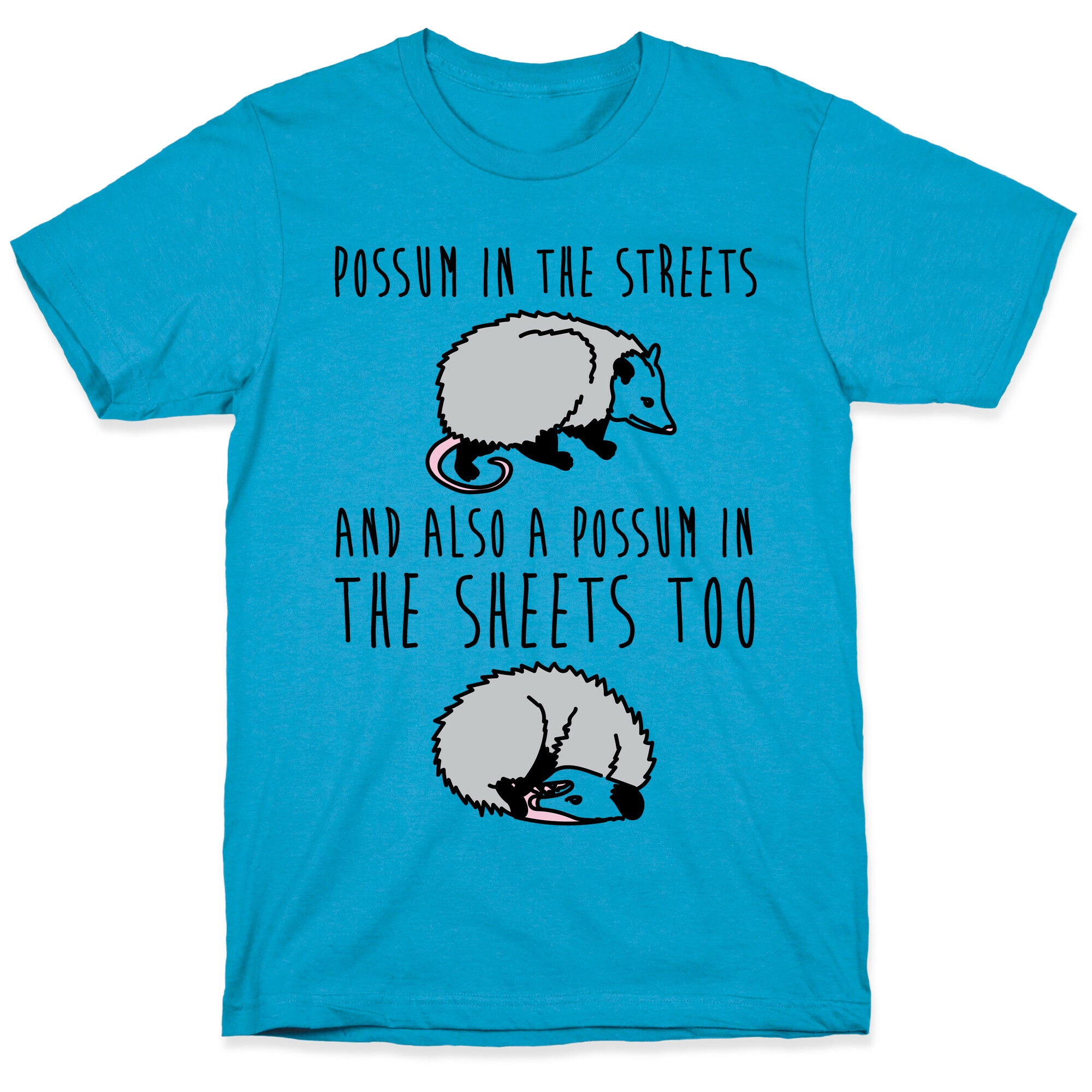 Possum In The Streets and Also A Possum In The Sheets  Unisex Triblend Tee